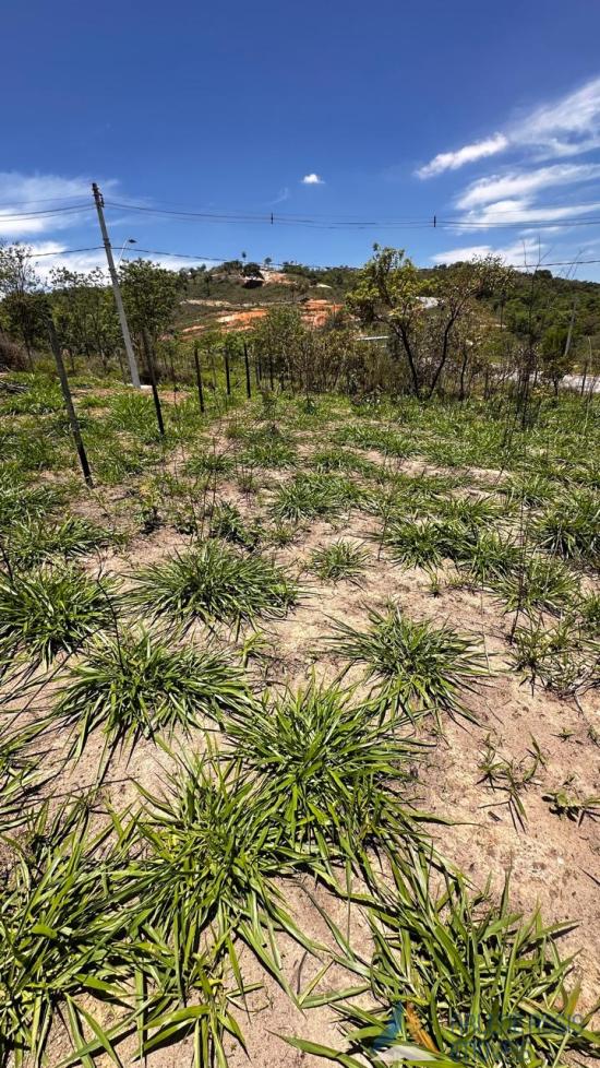 lote-venda-tiradentes-betim-mg-1040937