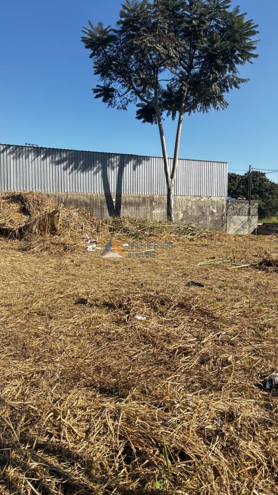 area-aluguel-alterosa-av-juiz-marco-tulio-isaac-1057920