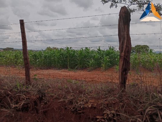 area-venda-sao-joaquim-de-bicas-816484