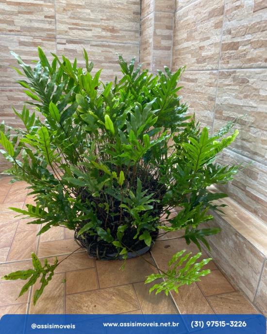 casa-venda-bairro-inga-alto-em-betim-991180
